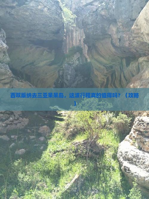 西双版纳去三亚呆呆岛团体旅游