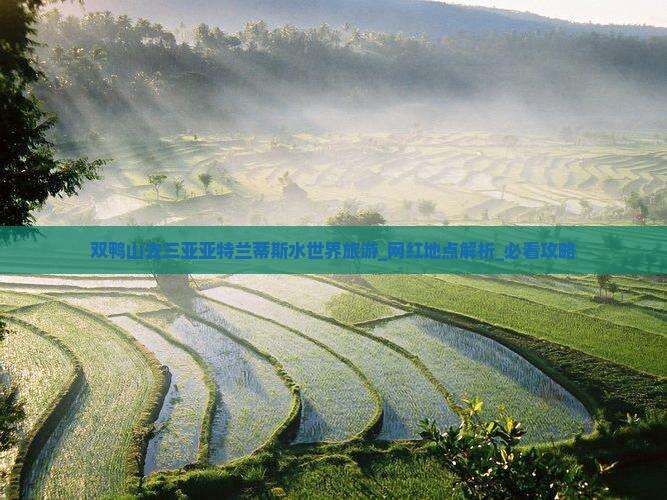 双鸭山去三亚亚特兰蒂斯水世界旅游网红地点
