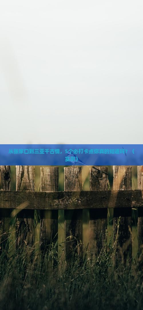 张家口去三亚千古情旅游打卡点