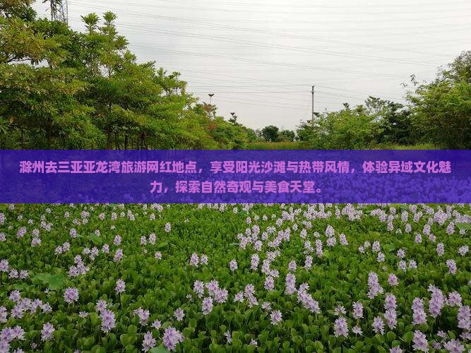 滁州去三亚亚龙湾旅游网红地点