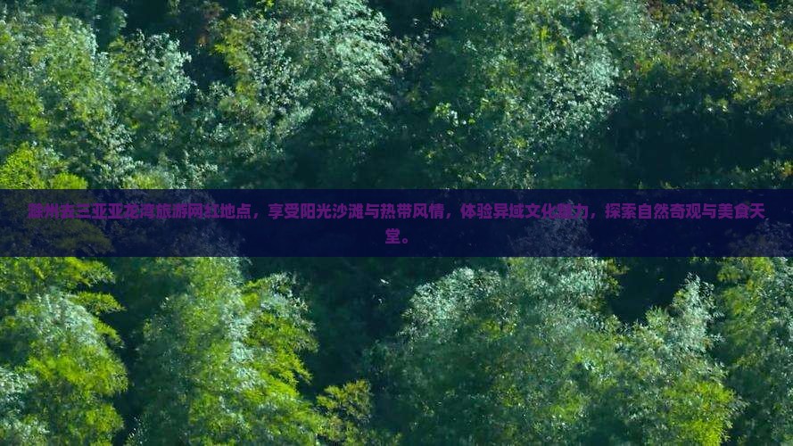 滁州去三亚亚龙湾旅游网红地点