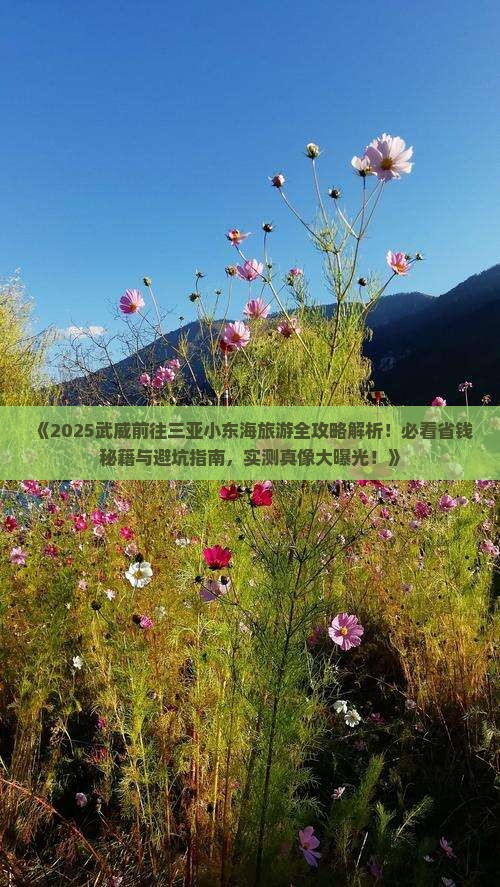 武威前往三亚小东海旅游