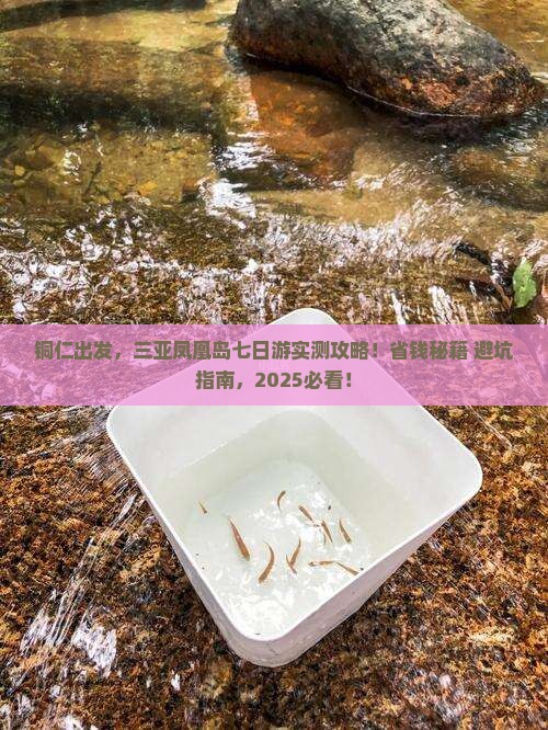 铜仁去三亚凤凰岛七日游