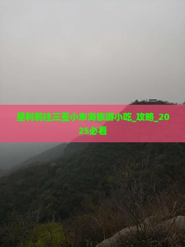 垦利前往三亚小东海旅游小吃