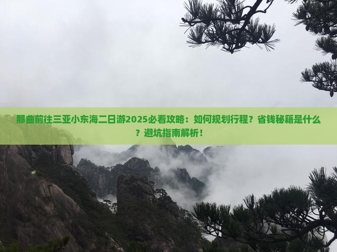 那曲前往三亚小东海二日游
