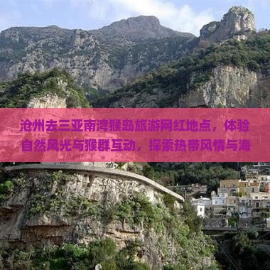 沧州去三亚南湾猴岛旅游网红地点