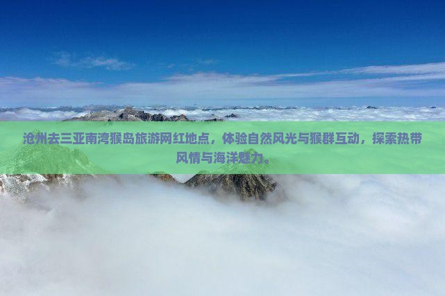 沧州去三亚南湾猴岛旅游网红地点