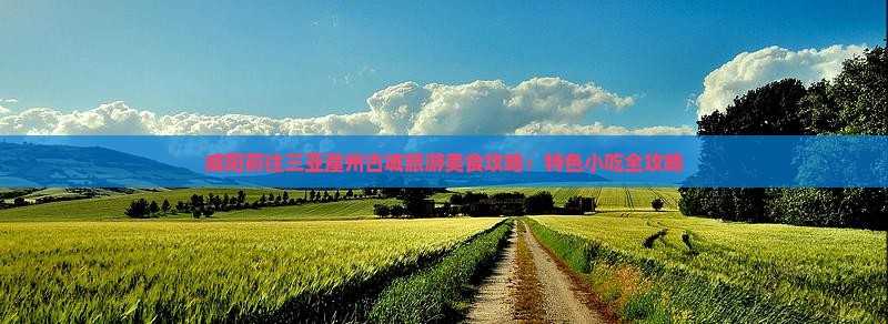 咸阳前往三亚崖洲古城旅游小吃