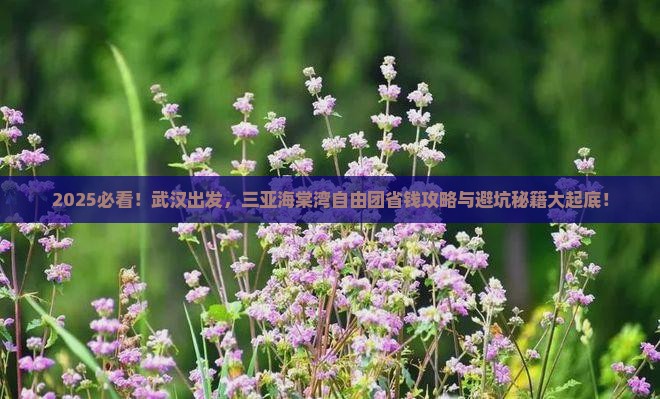 武汉前往三亚海棠湾自由团