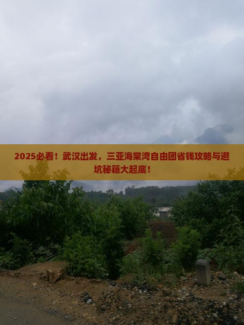 武汉前往三亚海棠湾自由团