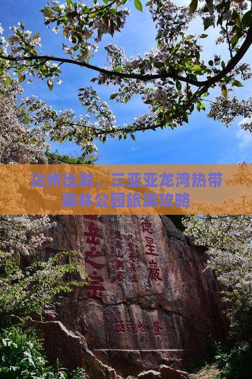 达州去三亚亚龙湾热带森林公园团体旅游