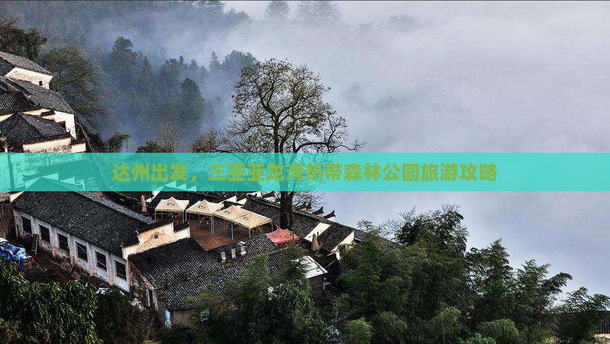 达州去三亚亚龙湾热带森林公园团体旅游