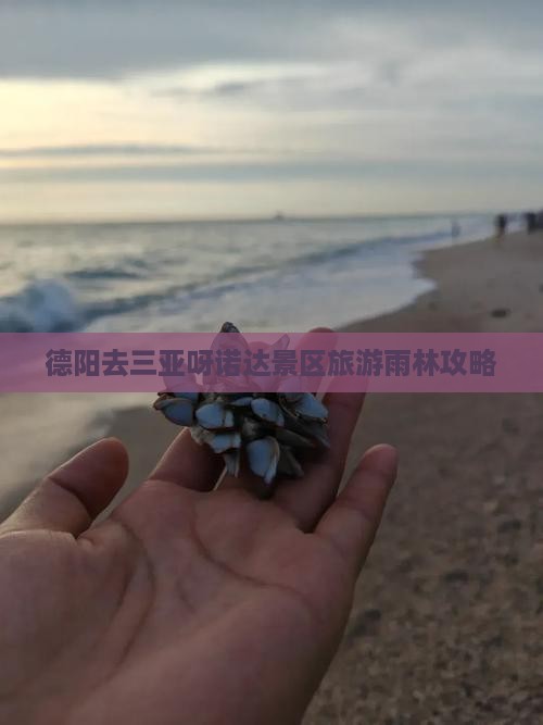 德阳去三亚呀诺达景区必玩地
