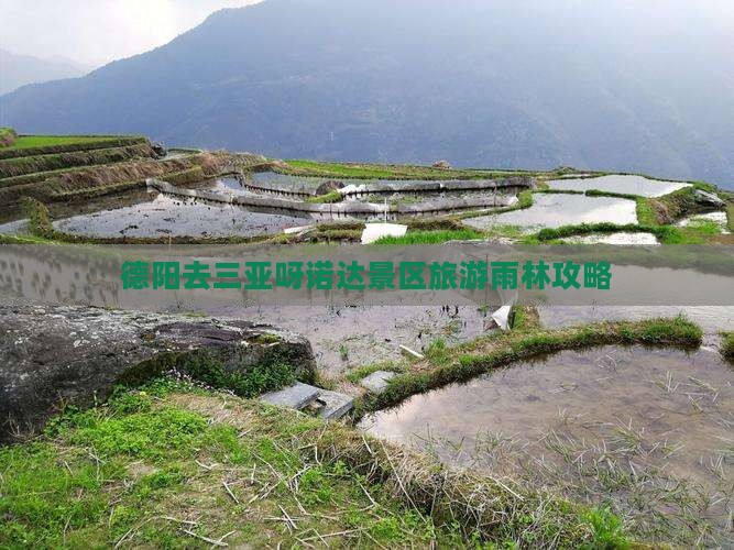 德阳去三亚呀诺达景区必玩地