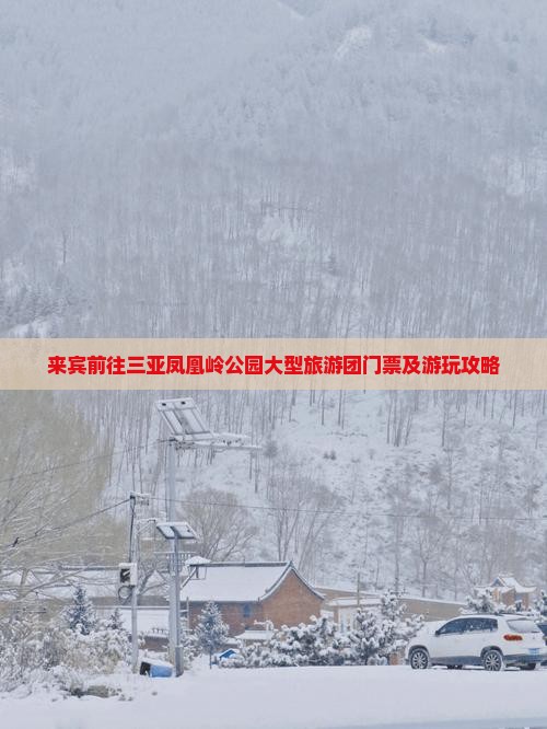 来宾前往三亚凤凰岭公园大型旅游团