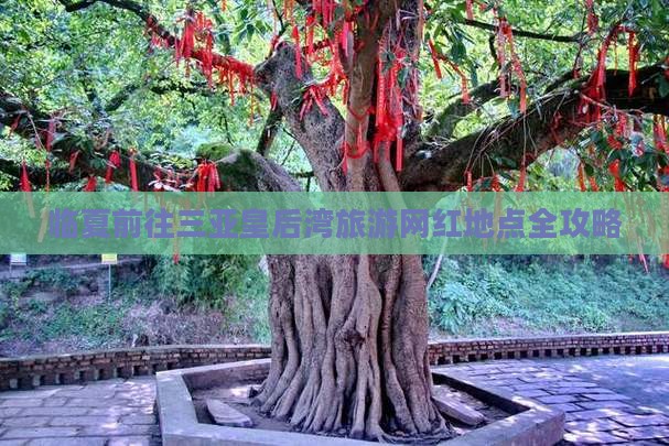 临夏前往三亚皇后湾旅游网红地点
