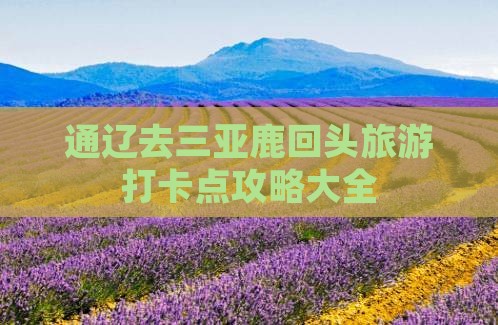 通辽去三亚鹿回头旅游打卡点