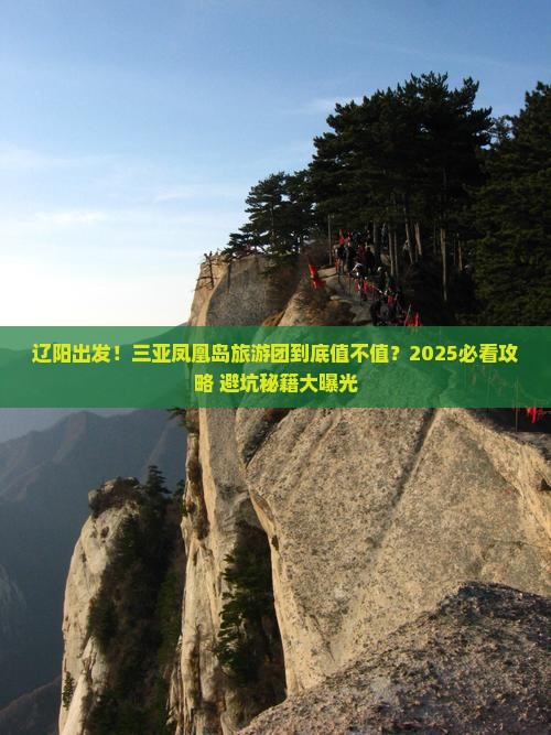 辽阳去三亚凤凰岛大型旅游团