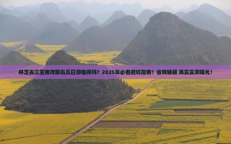 林芝去三亚南湾猴岛五日游