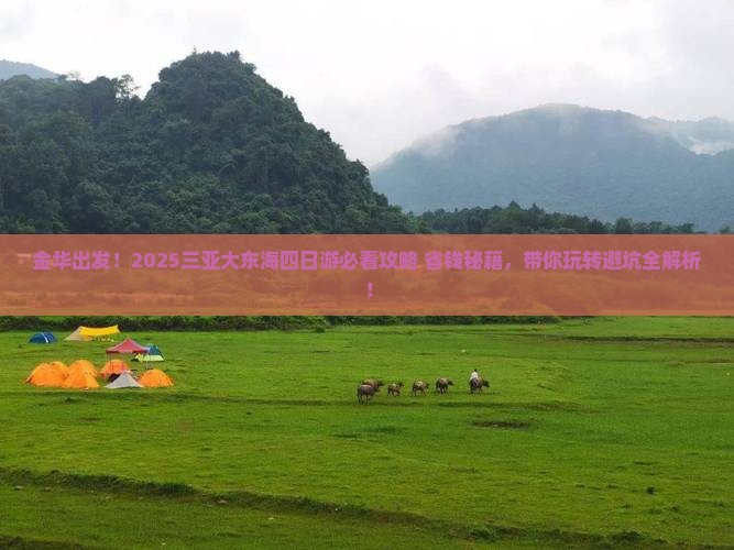 金华去三亚大东海四日游