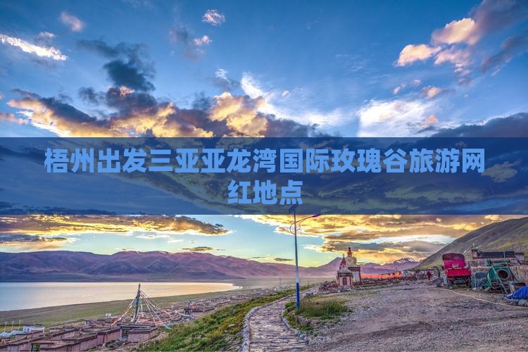 梧州出发三亚亚龙湾国际玫瑰谷旅游网红地点