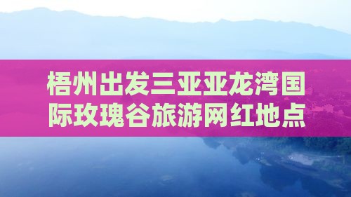梧州出发三亚亚龙湾国际玫瑰谷旅游网红地点