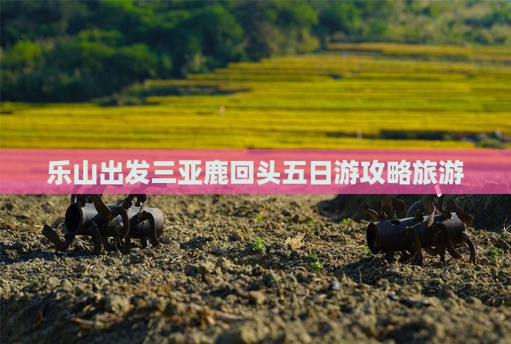 乐山出发三亚鹿回头五日游