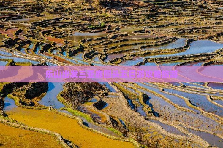 乐山出发三亚鹿回头五日游