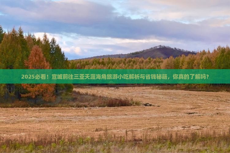宣城前往三亚天涯海角旅游小吃