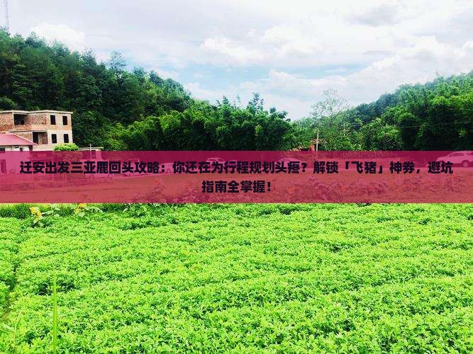 迁安出发三亚鹿回头攻略