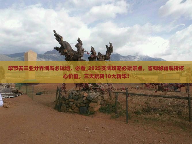 毕节去三亚分界洲岛必玩地