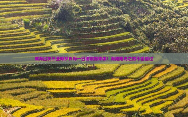 威海出发三亚椰梦长廊一日游