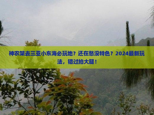 神农架去三亚小东海必玩地