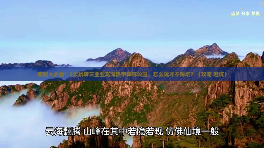 南阳去三亚亚龙湾热带森林公园三日游