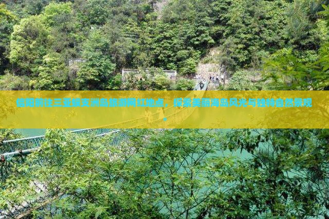 信阳前往三亚蜈支洲岛旅游网红地点