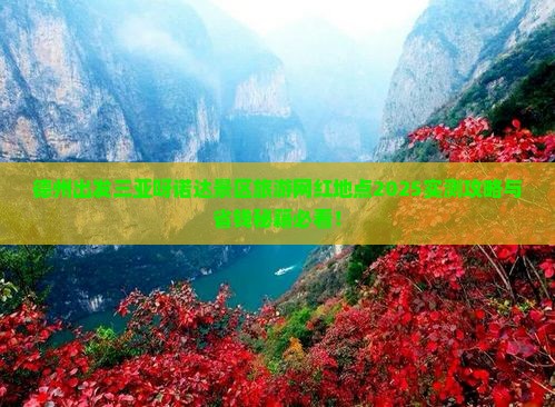 德州出发三亚呀诺达景区旅游网红地点