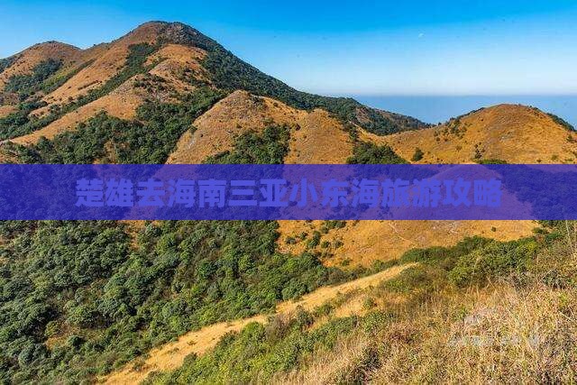 楚雄去三亚小东海攻略