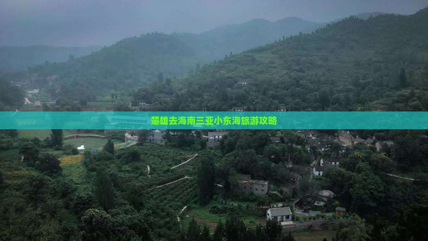 楚雄去三亚小东海攻略