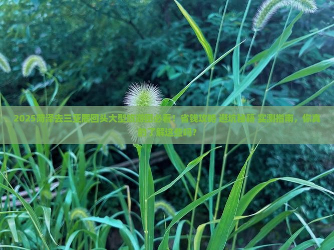 菏泽去三亚鹿回头大型旅游团