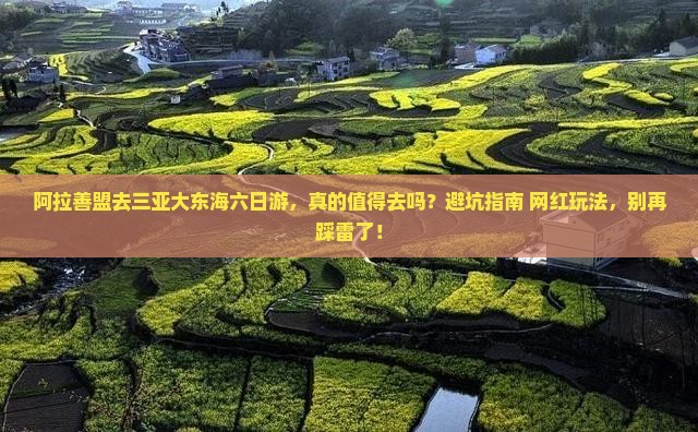 阿拉善盟去三亚大东海六日游