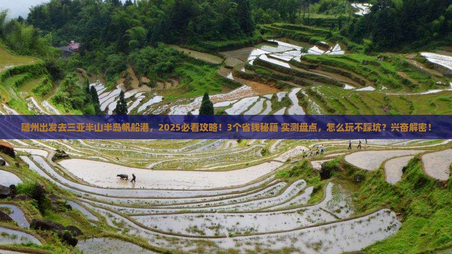 随州去三亚半山半岛帆船港一日游