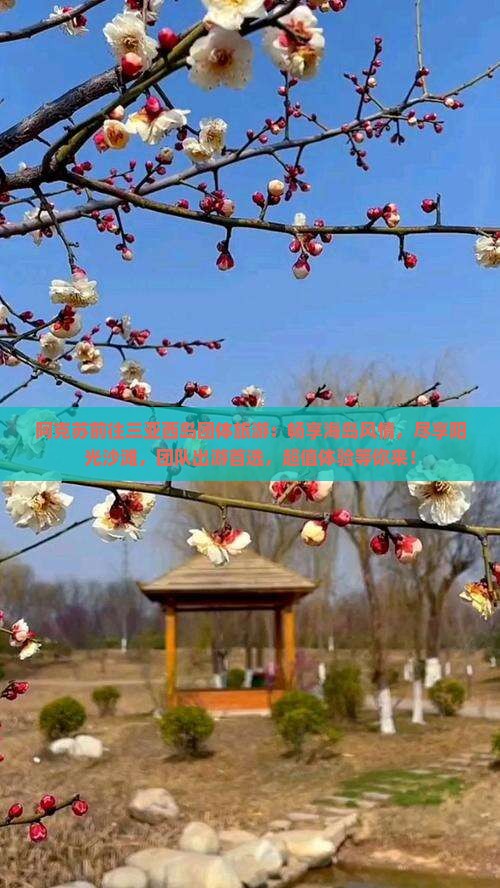 阿克苏前往三亚西岛团体旅游