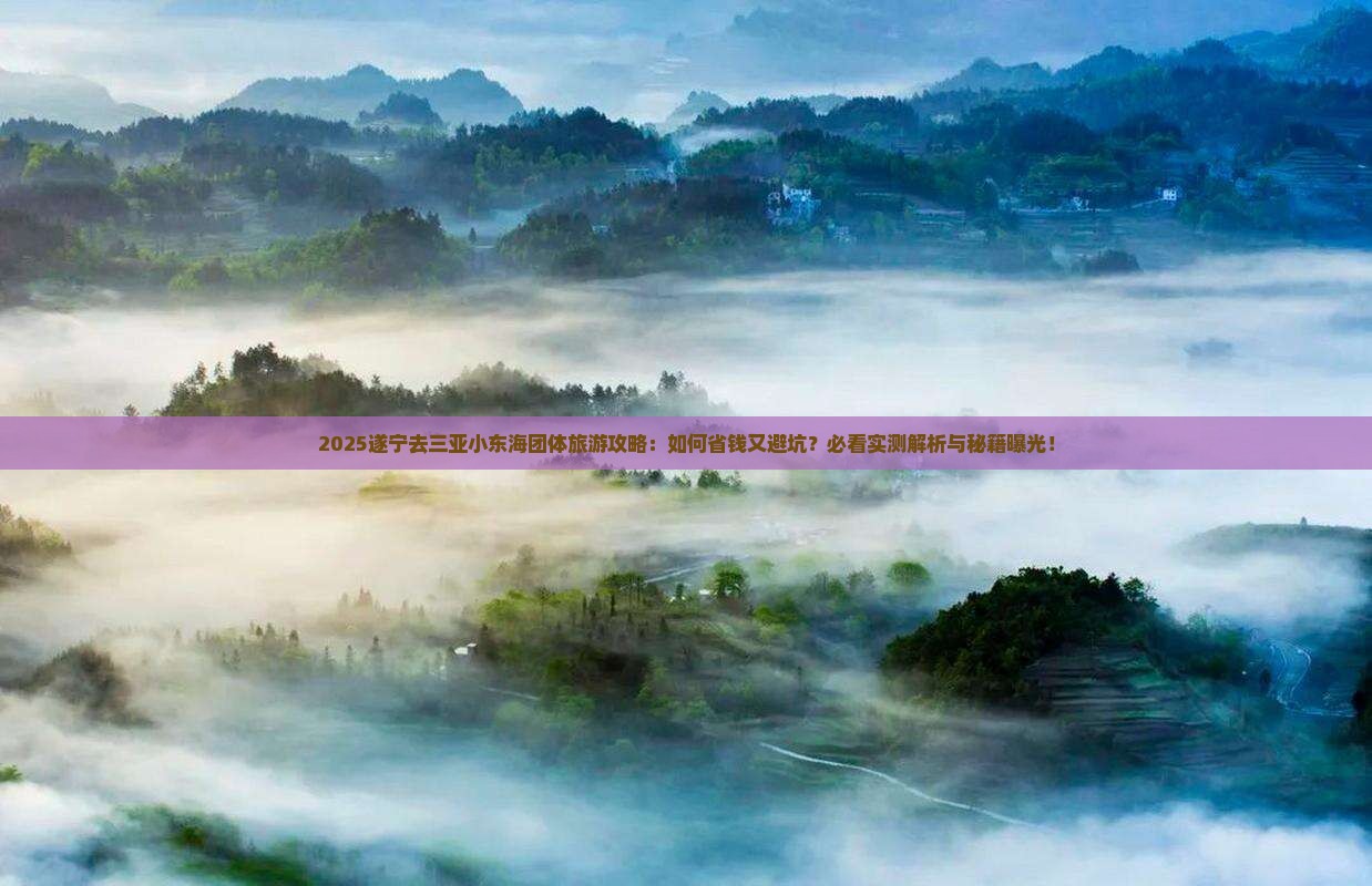 遂宁去三亚小东海团体旅游