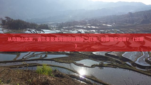 马鞍山去三亚亚龙湾国际玫瑰谷二日游