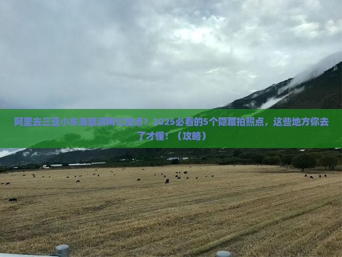 阿里去三亚小东海旅游网红地点