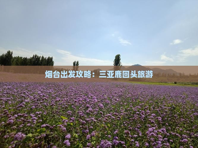烟台前往三亚鹿回头自由行