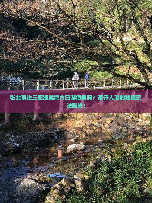 张北前往三亚海棠湾六日游 张北前往三亚海棠湾六日游