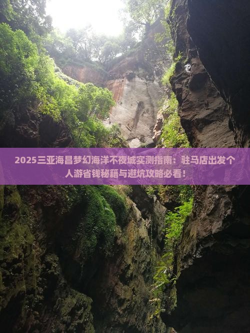 驻马店去三亚海昌梦幻海洋不夜城个人游