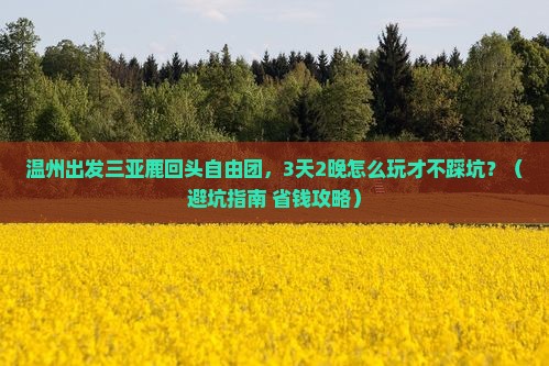 温州出发三亚鹿回头自由团