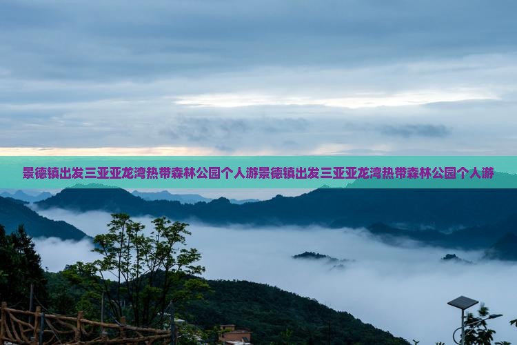 景德镇出发三亚亚龙湾热带森林公园个人游